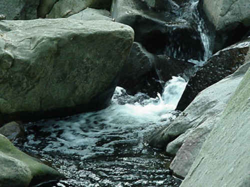 Long Branch Creek in Takoma Park